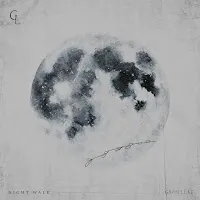 Gavin Luke — Night Walk — обложка
